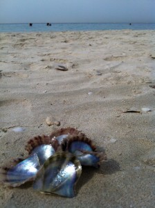 Det blev även en dag på stranden